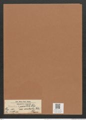 Eunotia ? parallela var. ventralis (Ehr.) Grun. (de-Toni-Nr.: Genus 104, Species 3159) Zeichnungen Sammlung Grunow Mappe 03408 (Herbarium_W_Grunow_drawings_Folder_03408)